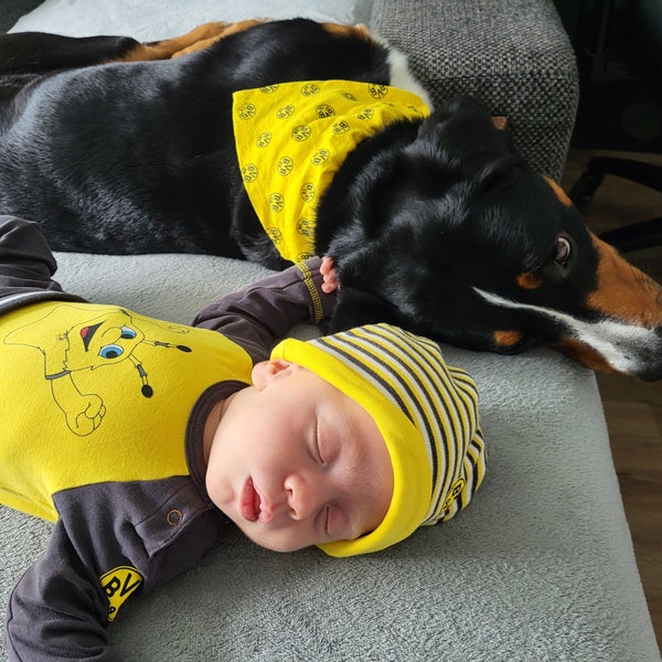 Ein Baby schläft neben einem Hund Ein Baby schläft neben einem Hund