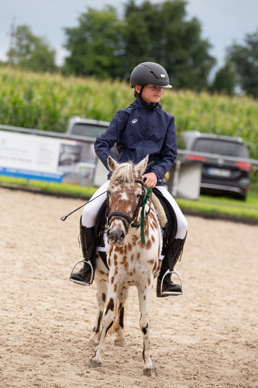 Ein Mädchen reitet auf einem Pferd Ein Mädchen reitet auf einem Pferd