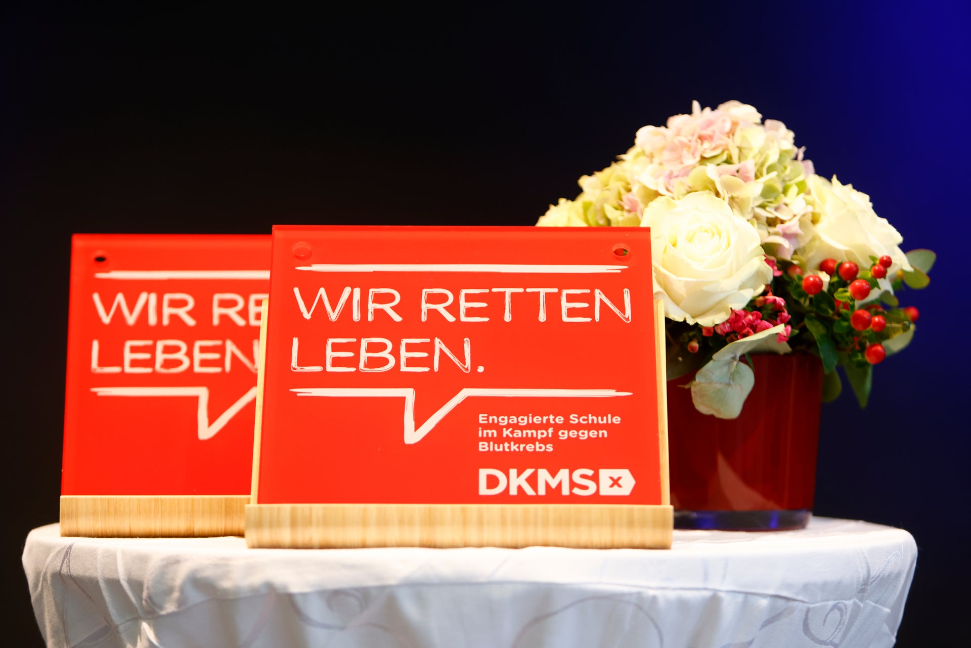 Das DKMS Schulsiegel