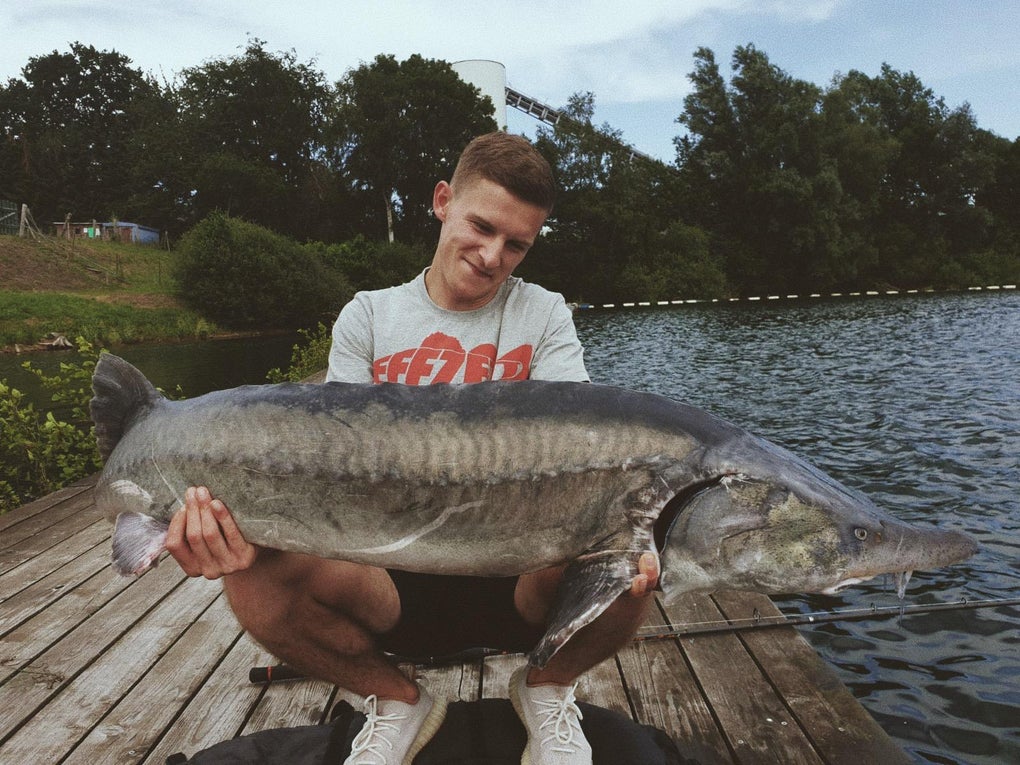 Ein Mann hält einen großen Fisch Ein Mann hält einen großen Fisch