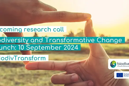 Biodiversity and transformative change:: der 4. Biodiversa+ Ausschreibung angekündigt