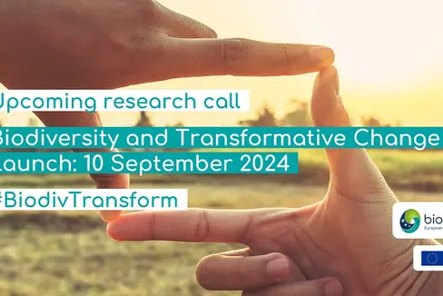 Biodiversity and transformative change: in arrivo il quarto bando Biodiversa+