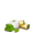 Cannelloni Ricotta épinards