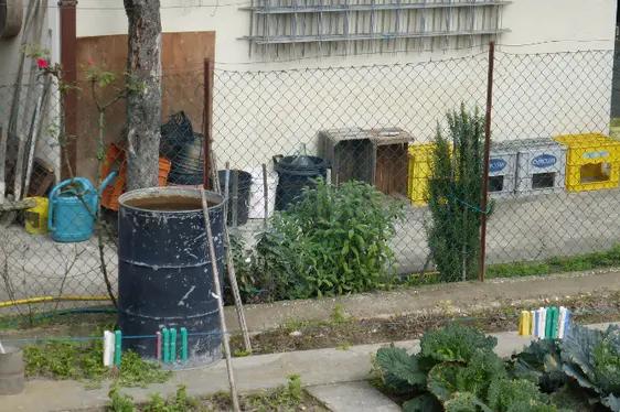 Bidone per l’irrigazione: lo svuotiamo regolarmente (almeno settimanalmente), lo chiudiamo ermeticamente o lo copriamo con una rete a maglia fine (zanzariera) (Foto: Agenzia provinciale per l'ambiente e la tutela del clima)