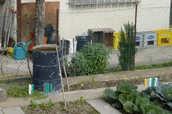 Regenwassertonne: regelmäßig (mindestens wöchentlich) ausleeren, verschließen oder mit einem feinmaschigen Netz (Mückennetz) abdecken. (Foto: Landesagentur für Umwelt und Klimaschutz)