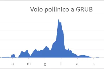 Volo pollinico a Grub/Valle Lunga. A Grub il volo pollinico avviene principalmente nel periodo da metà aprile a luglio. (Fonte: Agenzia provinciale per l'ambiente e la tutela del clima)