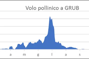 Volo pollinico a Grub/Valle Lunga. A Grub il volo pollinico avviene principalmente nel periodo da metà aprile a luglio. (Fonte: Agenzia provinciale per l'ambiente e la tutela del clima)