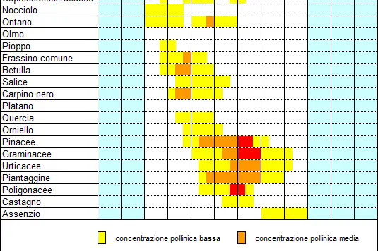 Calendario pollinico Sulden (2008-2010) (fonte: Agenzia provinciale per l’ambiente e la tutela del clima)