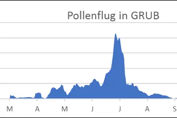 Pollenflug in Grub/Langtaufers. Der Pollenflug erfolgt in Grub vorwiegend von Mitte-Ende April bis Juli. (Quelle: Landesagentur für Umwelt und Klimaschutz)