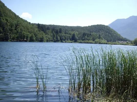 Großer Montiggler See (Foto: Landesagentur für Umwelt und Klimaschutz)