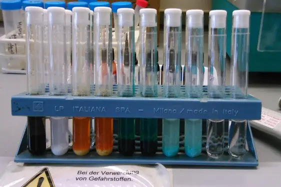 Proben für die Schwermetalleanalyse (Foto: Landesagentur für Umwelt und Klimaschutz)