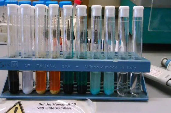 Proben für die Schwermetalleanalyse (Foto: Landesagentur für Umwelt und Klimaschutz)