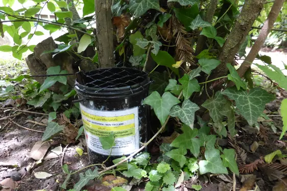 Ovitrappola posizionata sul suolo (Foto: Agenzia provinciale per l'ambiente e la tutela del clima)