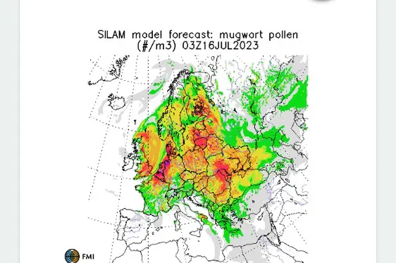 Mappe delle previsioni Europa (Foto: Agenzia provinciale per l’ambiente e la tutela del clima)