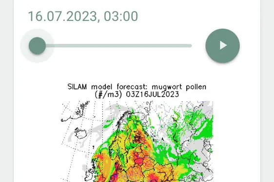 Mappe delle previsioni Europa (Foto: Agenzia provinciale per l’ambiente e la tutela del clima)