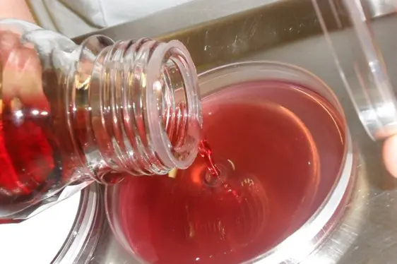 Mikrobiologische Untersuchung: Nährboden für mikrobiologische Analyse (Foto: Landesagentur für Umwelt und Klimaschutz)