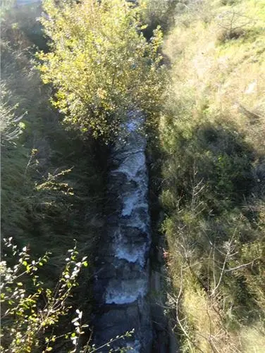 Allitzerbach (Foto: Landesagentur für Umwelt und Klimaschutz)