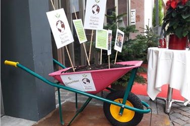 5. Dezember: „Internationaler Tag des Bodens“ (Foto: Landesagentur für Umwelt)