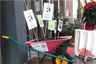 5. Dezember: „Internationaler Tag des Bodens“ (Foto: Landesagentur für Umwelt)