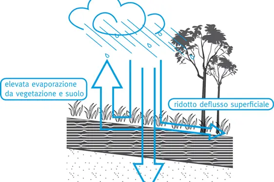 Fotogallery - Wasserhaushalt befestigter und unbefestigter Flächen