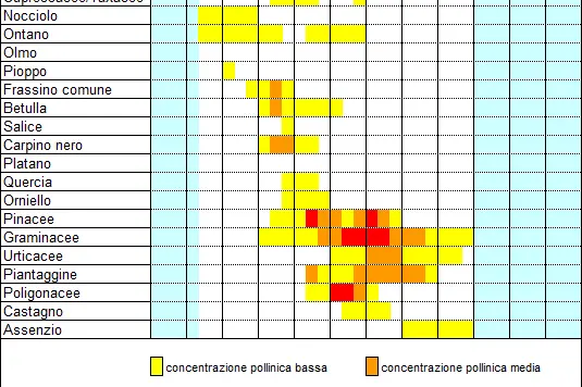Calendario pollinico Grub (2000-2001, 2019-2021) (fonte: Agenzia provinciale per l’ambiente e la tutela del clima)