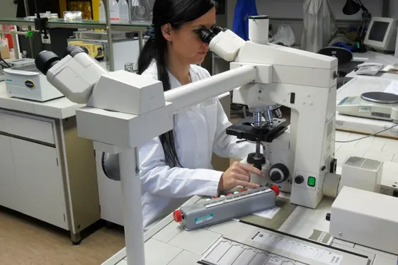 Polleninformationsdienst: Auswertung der Pollenproben am Lichtmikroskop (Foto: Landesagentur für Umwelt und Klimaschutz)