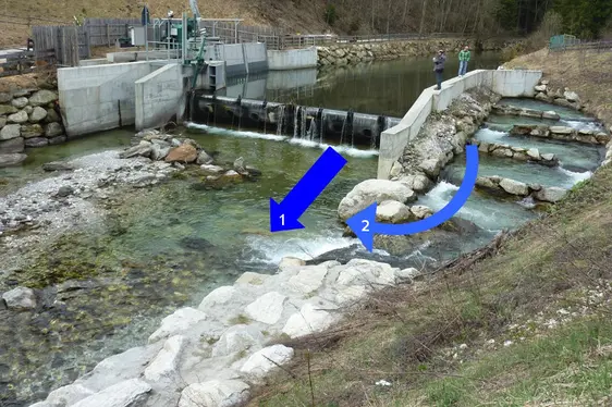 Fotogallery Fischwanderhilfen