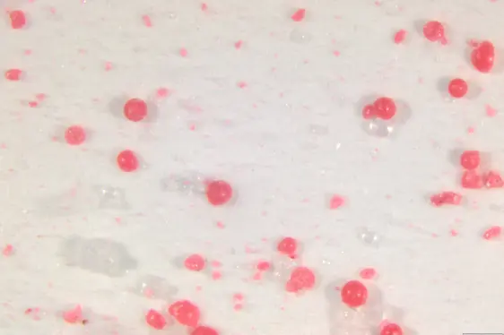 In einem Waschmittel vorhandene Mikroplastikkügelchen (Foto: Landesagentur für Umwelt und Klimaschutz)