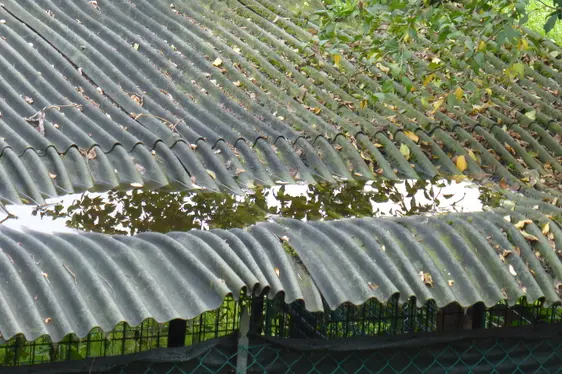 Copertura in ondulato con accumulo di acqua stagnate (Foto: Agenzia provinciale per l'ambiente e la tutela del clima)