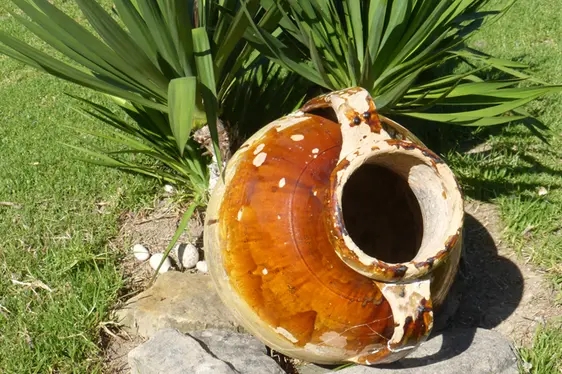 Anfora come elemento decorativo nel giardino: se contiene acqua può diventare un focolaio della zanzara tigre (Foto: Agenzia provinciale per l'ambiente e la tutela del clima)