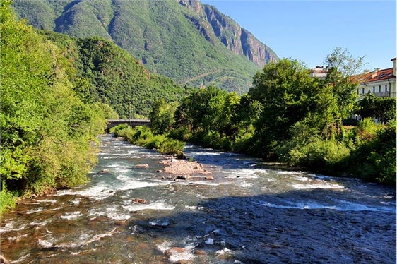 Fiumi e torrenti, come il Talvera, rappresentano un importante habitat per molti animali e piante (Foto: Agenzia ambiente/Laconi)