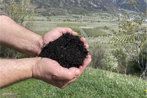 Nichts wird neu geschaffen, nichts geht verloren, alles wird umgewandelt: Wir verarbeiten organische Abfälle zu einer Ressource (Foto: Landesagentur für Umwelt und Klimaschutz)