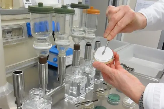 Deposizione della membrana sul terreno selettivo nella piastra di Petri (Foto: Agenzia provinciale per l’ambiente e la tutela del clima)