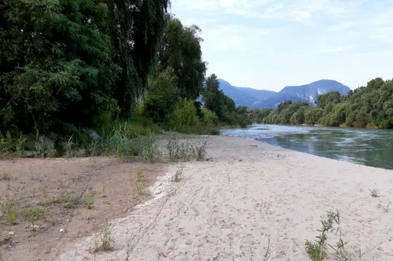 Monitoraggio microplastica - progetto pilota