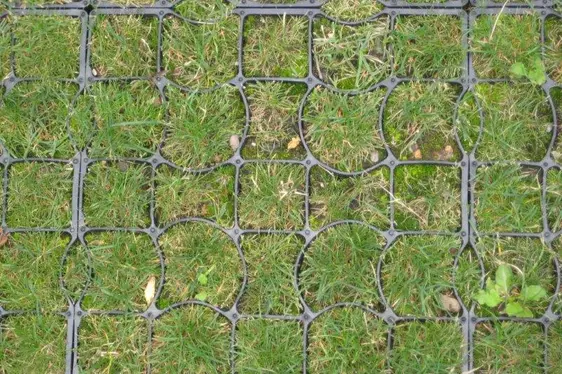 Kunststoffrasengitter (Rasenwabe)
Das sind wabenförmige Kunststoffplatten, die mit Humus
gefüllt und mit Rasen bewachsen sind. Sie weisen einen
Grünflächenanteil von über 90% auf.
Geeignet für: Parkplätze, Zufahrtswege.