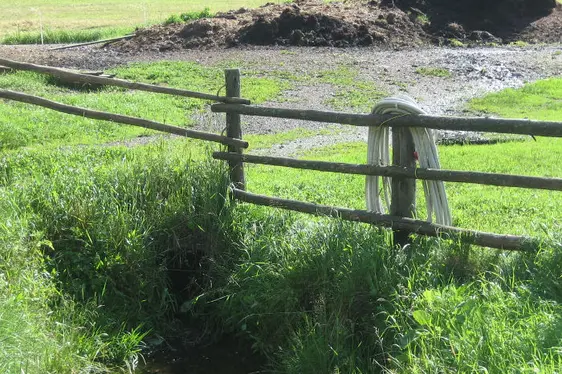 Sickersaft rinnt in Oberflächengewässer (Foto: Landesagentur für Umwelt und Klimaschutz)