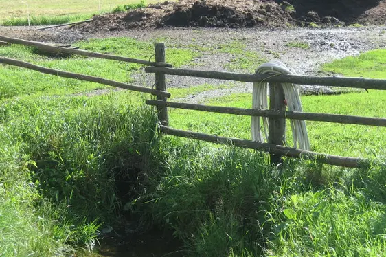 Sickersaft rinnt in Oberflächengewässer (Foto: Landesagentur für Umwelt und Klimaschutz)