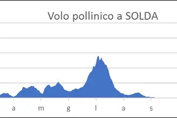 Volo pollinico a Solda. A Solda il volo pollinico si manifesta principalmente nel periodo da aprile a luglio. (Fonte: Agenzia provinciale per l'ambiente e la tutela del clima)