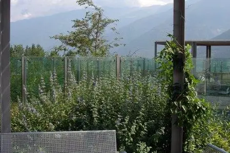 Intensivbegrünung am
Dach des Krankenhauses
Schlanders (Foto DI Helga
Salchegger)