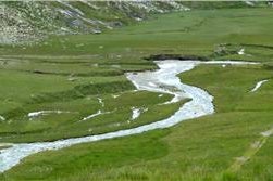 Corso d'acqua naturale (Foto: Agenzia provinciale per l'ambiente e la tutela del clima