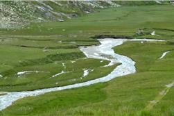 Corso d'acqua naturale (Foto: Agenzia provinciale per l'ambiente e la tutela del clima