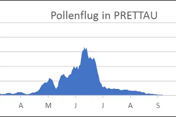 Pollenflug in Prettau. Der Pollenflug erfolgt in Prettau vorwiegend von Ende April bis Juni (Quelle: Landesagentur für Umwelt und Klimaschutz)