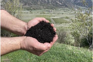 Nichts wird neu geschaffen, nichts geht verloren, alles wird umgewandelt: Wir verarbeiten organische Abfälle zu einer Ressource (Foto: Landesagentur für Umwelt und Klimaschutz)