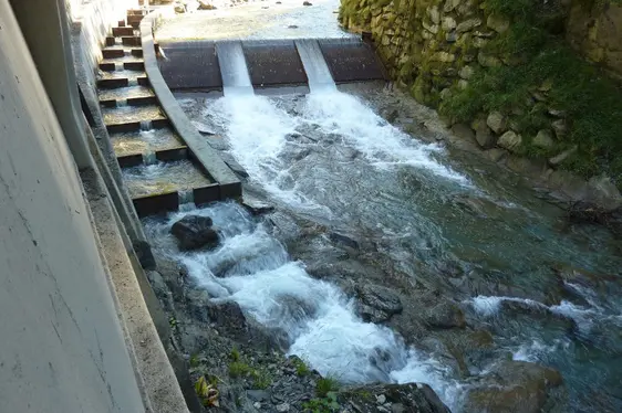 Passierbarkeit (Foto: Landesagentur für Umwelt)
- Eine geringe Absturzhöhe, sowie eine niedrige Fließgeschwindigkeit in den Becken der Wanderhilfe soll auch juvenilen Fischen den Aufstieg ermöglichen.
- Bei der Beckendimensionierung (mini-male Wassertiefe, Länge und Breite) sind die vorherrschenden Fischarten aus-schlaggebend und ist nach ihnen anzupassen.
- Eine hohe Sohlenrauhigkeit erlaubt auch leistungsschwachen, bodenorientierten Arten den Aufstieg.