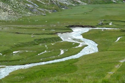 Corso d'acqua naturale (Foto: Agenzia provinciale per l'ambiente e la tutela del clima