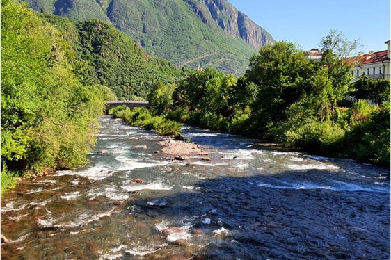 Flüsse und Bäche, wie die Talfer, stellen einen wichtigen Lebensraum für zahlreiche Tiere und Pflanzen dar (Foto: Landesagentur für Umwelt und Klimaschutz/Laconi)
