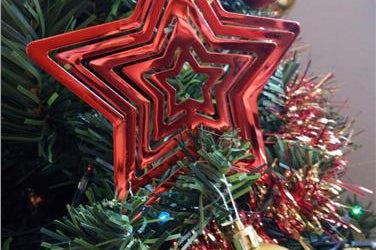 Buon Natale! (foto: Agenzia provinciale per l'ambiente e la tutela del clima)