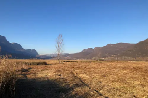 Biotopo lago di Caldaro (Foto: Agenzia provinciale per l'ambiente e la tutela del clima)
