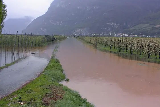 Hochwasser beim Großen Kalterer Graben bei Kurtatsch (Foto: p.a. Eduard Franzelin)