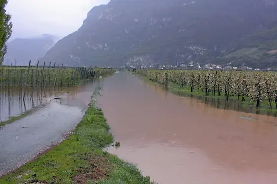 Hochwasser beim Großen Kalterer Graben bei Kurtatsch (Foto: p.a. Eduard Franzelin)